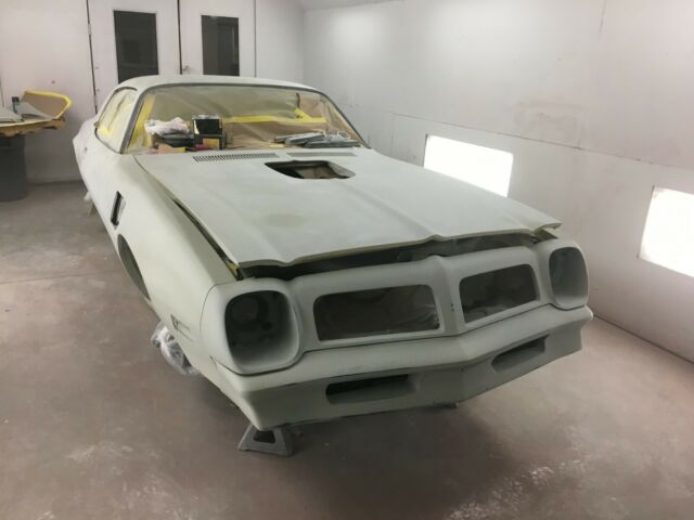 1976 Pontiac Trans Am Trans Am - photo 4