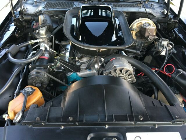 1976 Pontiac Trans Am Trans Am - photo 6