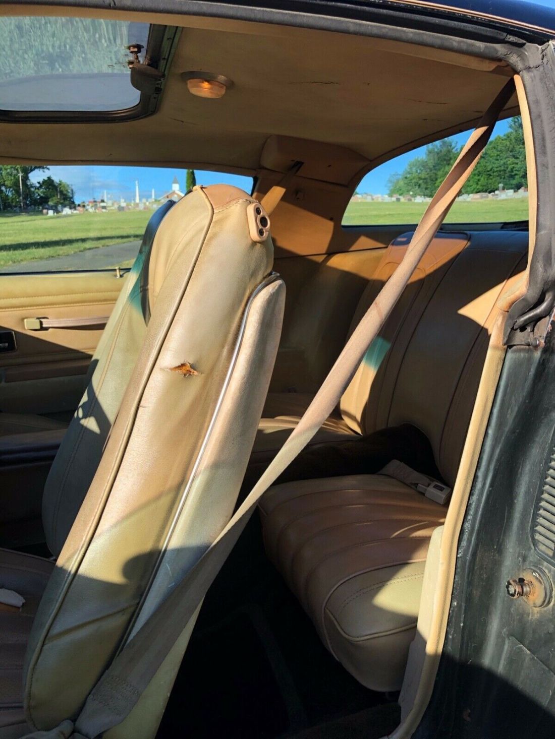 1976 Pontiac Trans Am - photo 13