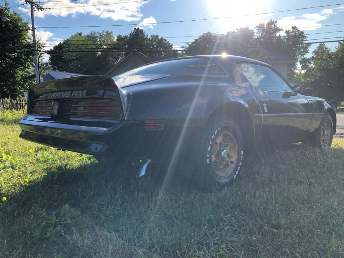 1976 Pontiac Trans Am - photo 2