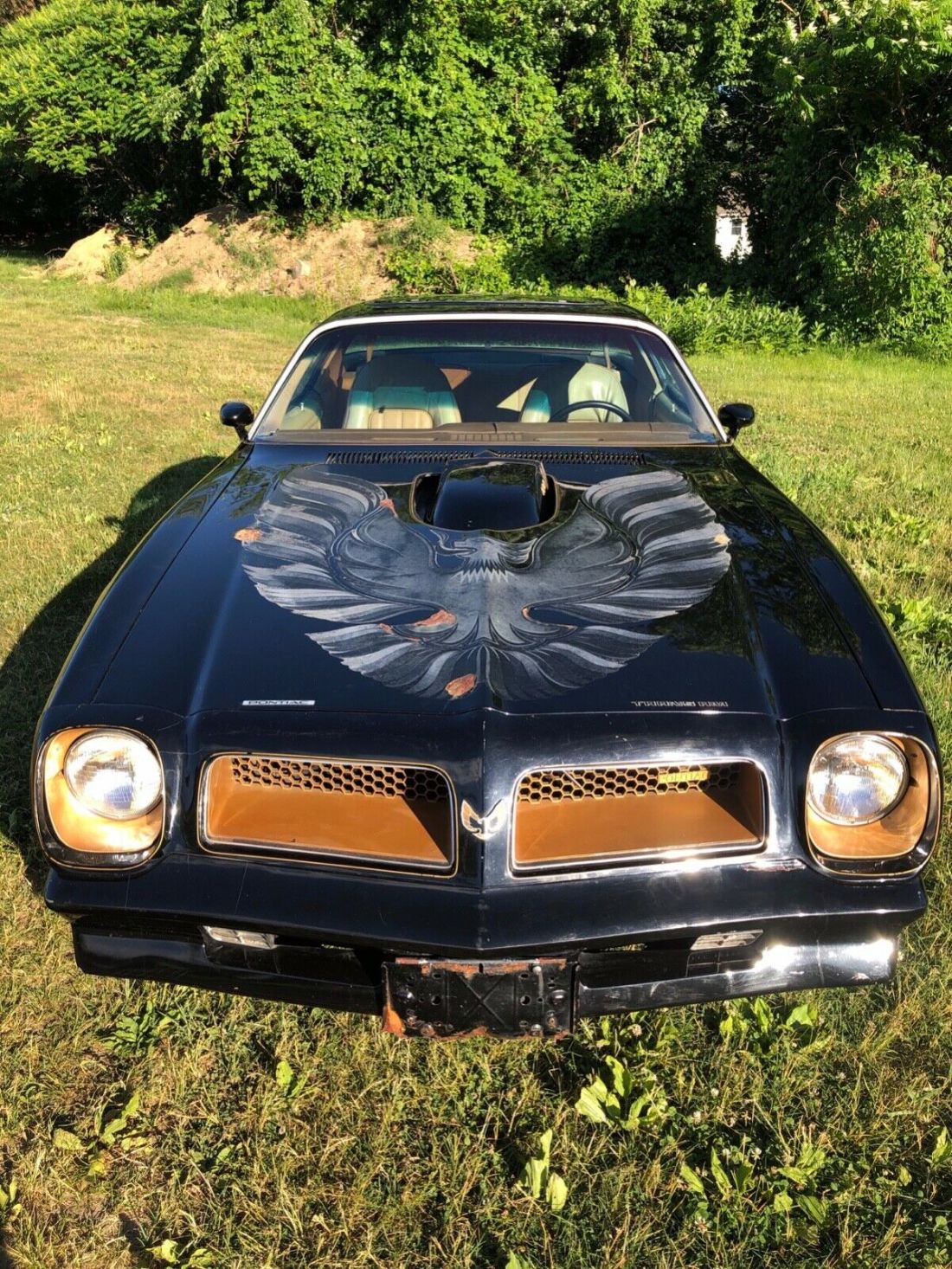 1976 Pontiac Trans Am - photo 6