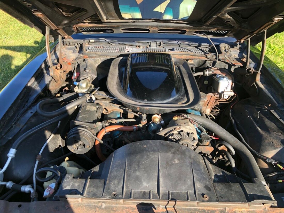 1976 Pontiac Trans Am - photo 7