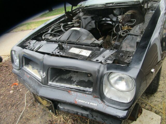 1976 Pontiac Trans Am - photo 2