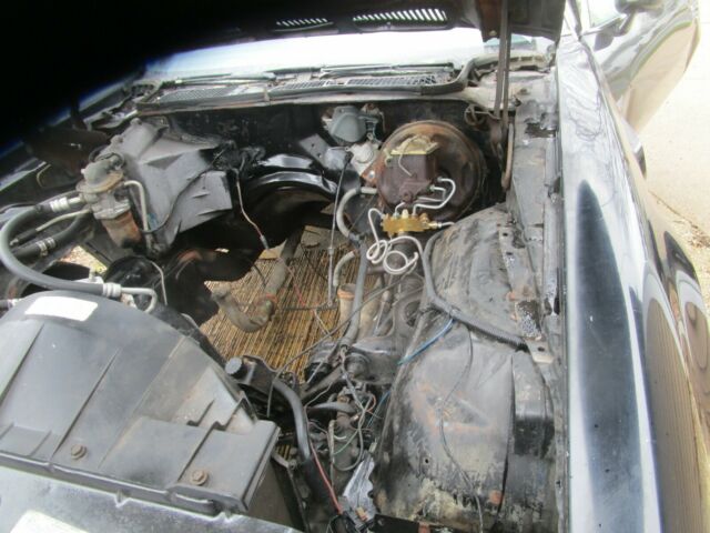 1976 Pontiac Trans Am - photo 7