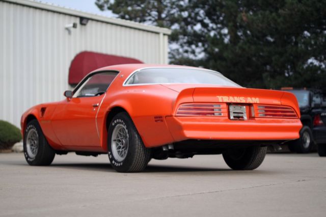 1976 Pontiac Trans Am - photo 3