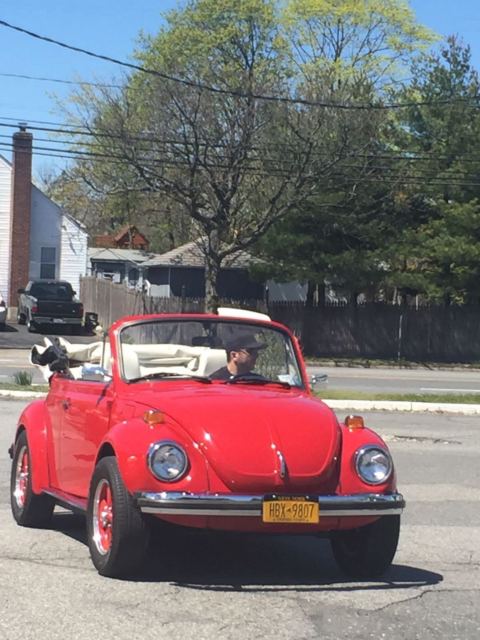1976 Volkswagen Beetle - Classic - photo 10
