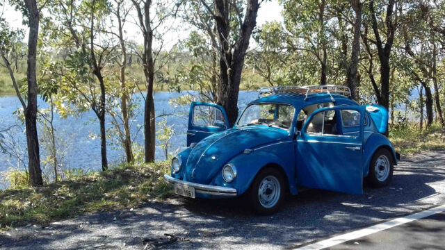 1976 Volkswagen Beetle - Classic