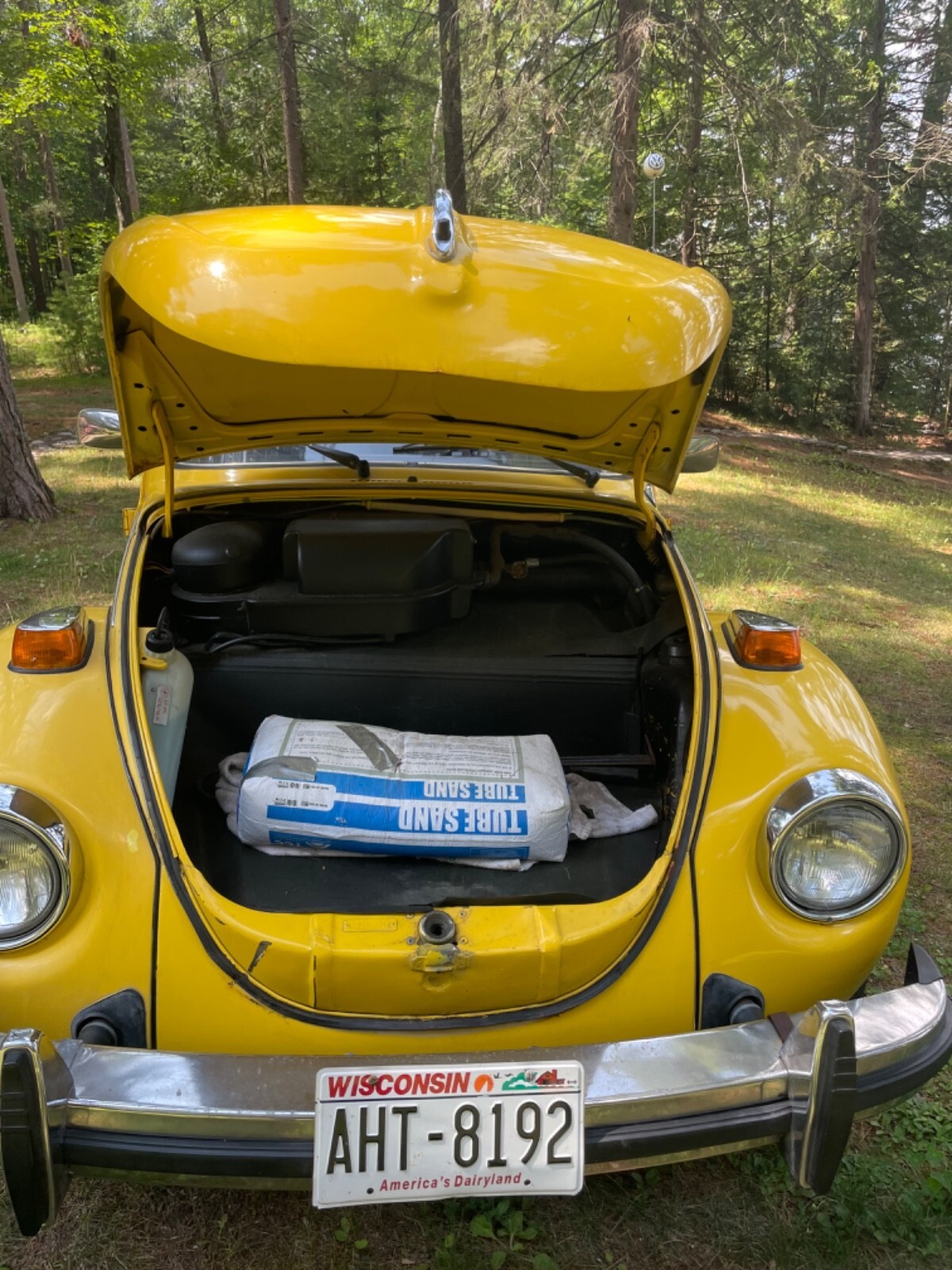 1976 Volkswagen Beetle - Classic - photo 2
