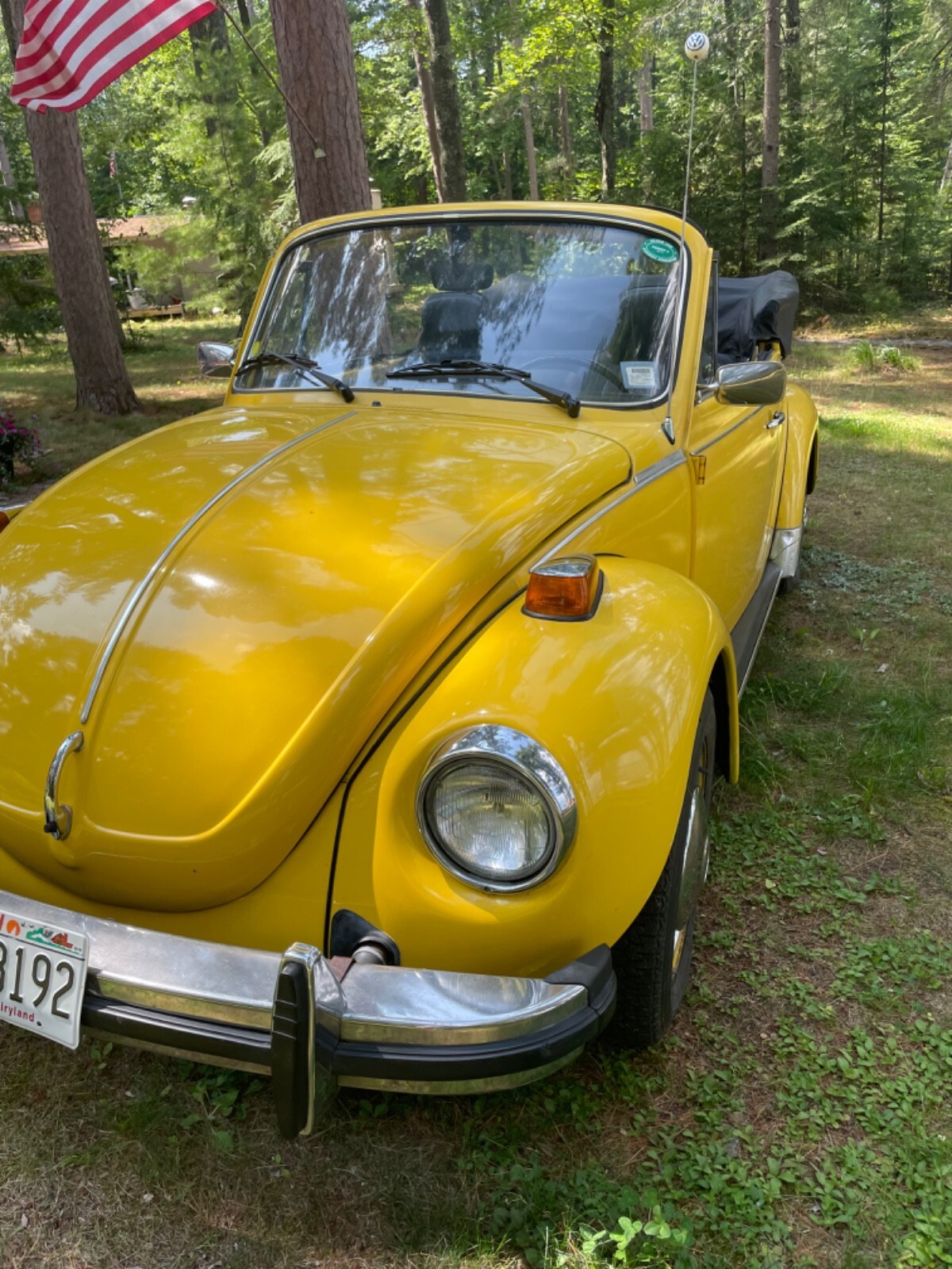 1976 Volkswagen Beetle - Classic - photo 3