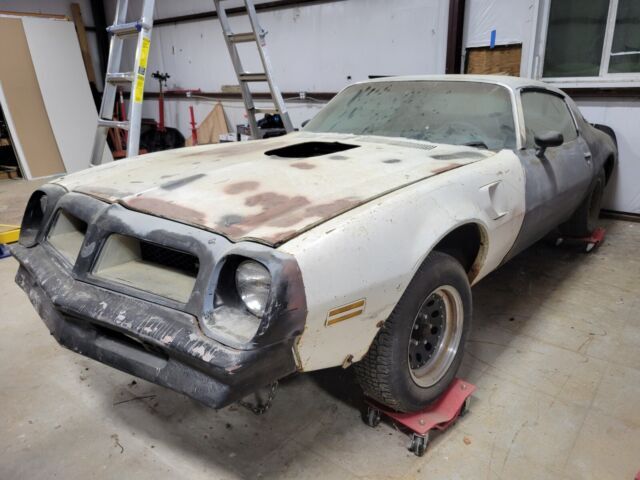 1976 Pontiac Trans Am Trans Am