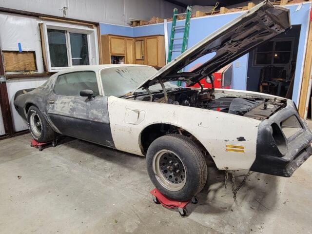 1976 Pontiac Trans Am Trans Am - photo 2