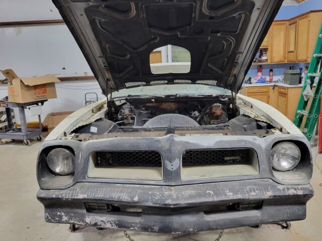 1976 Pontiac Trans Am Trans Am - photo 3