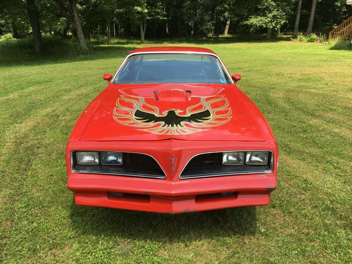 1977 Pontiac Trans Am Black - photo 2
