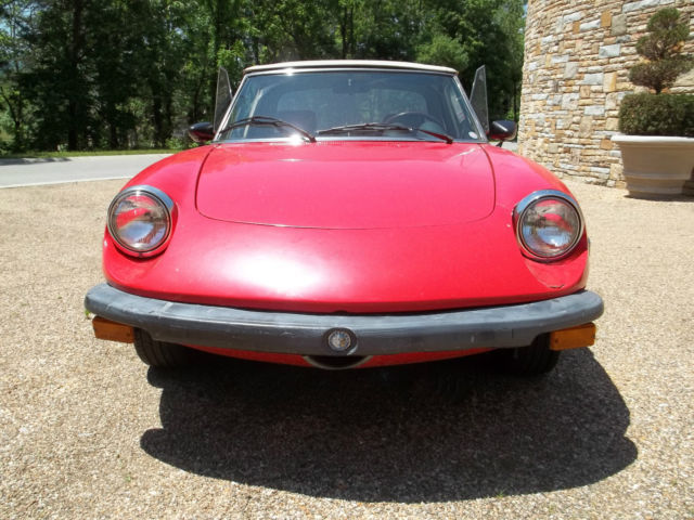 1977 Alfa Romeo Spider