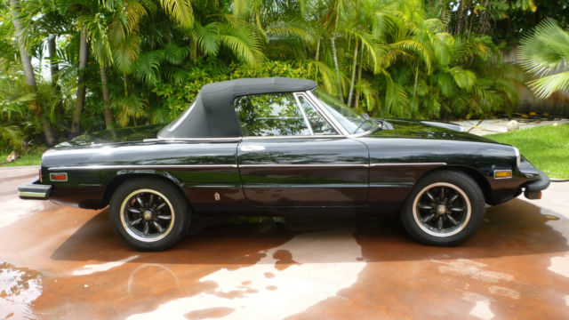 1977 Alfa Romeo Spider - photo 3