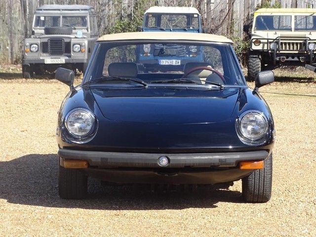 1977 Alfa Romeo Spider - photo 2