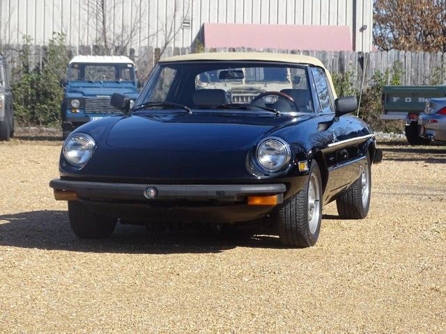 1977 Alfa Romeo Spider - photo 3