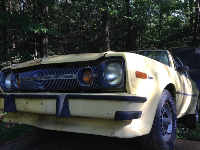 1977 AMC AMX AMX