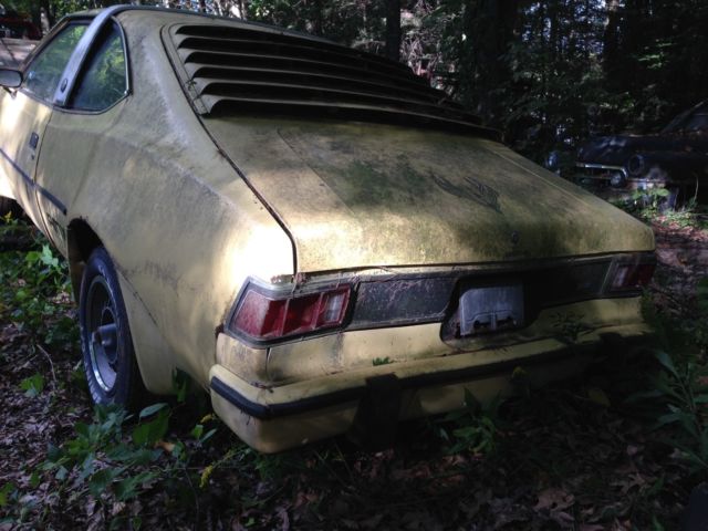 1977 AMC AMX AMX - photo 3
