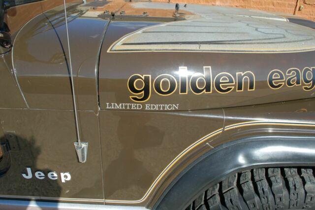 1977 Jeep CJ Golden Eagle - photo 11