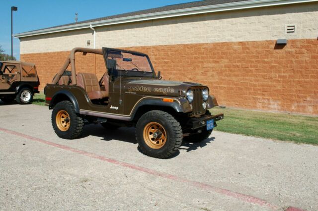 1977 Jeep CJ Golden Eagle - photo 2