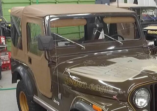 1977 Jeep CJ Golden Eagle - photo 8
