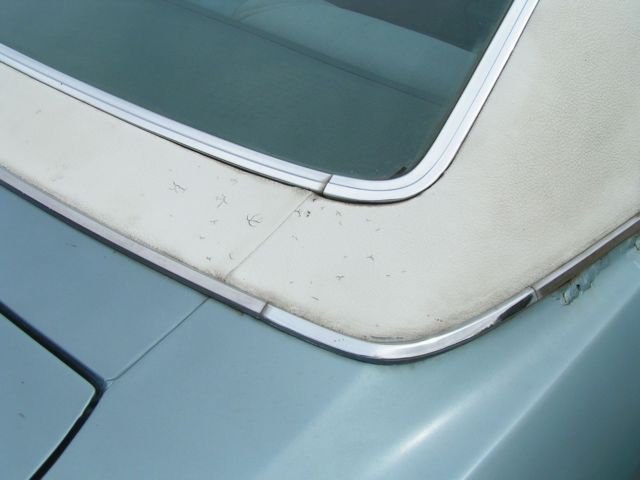 1977 Buick Century Custom - photo 8