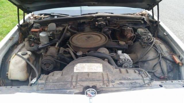 1977 Buick Electra Limited - photo 5
