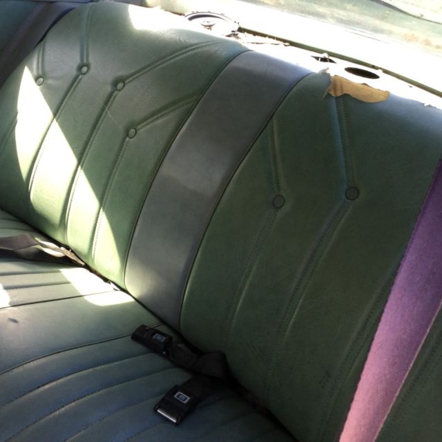 1977 Buick Regal - photo 4