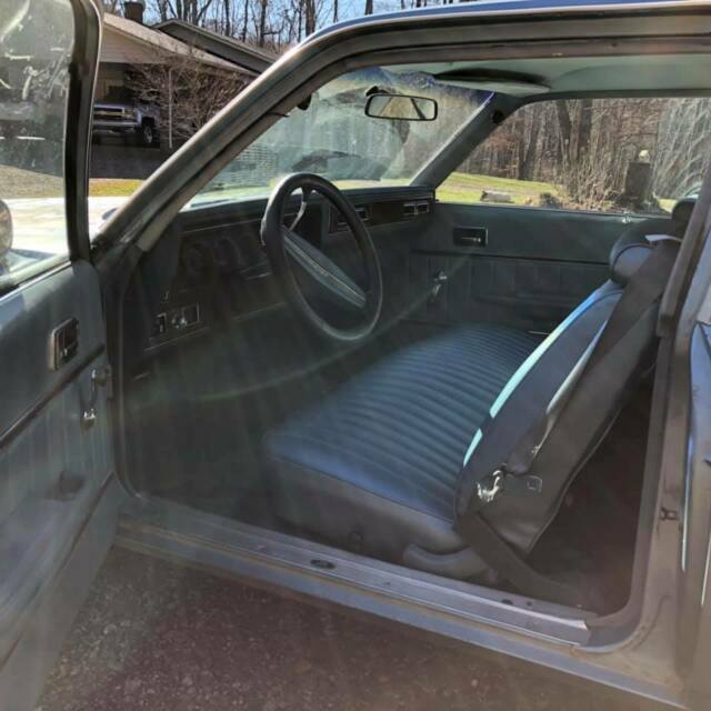 1977 Buick Skylark Nova - photo 9