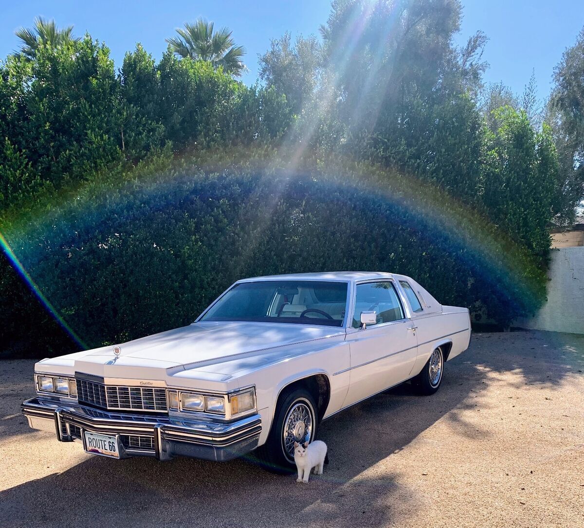 1977 Cadillac DeVille De Ellegance - photo 13