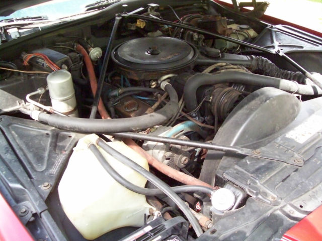 1977 Cadillac DeVille COUPE DEVILLE - photo 8