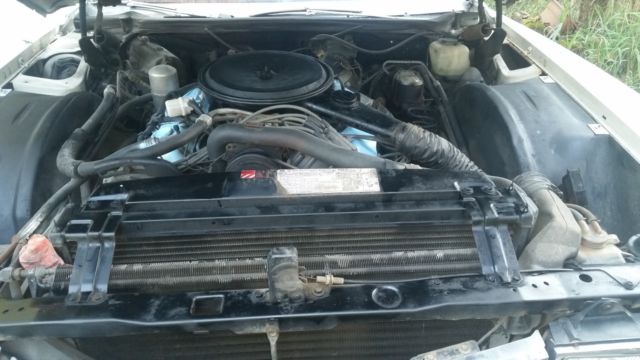 1977 Cadillac Eldorado Biarritz - photo 6