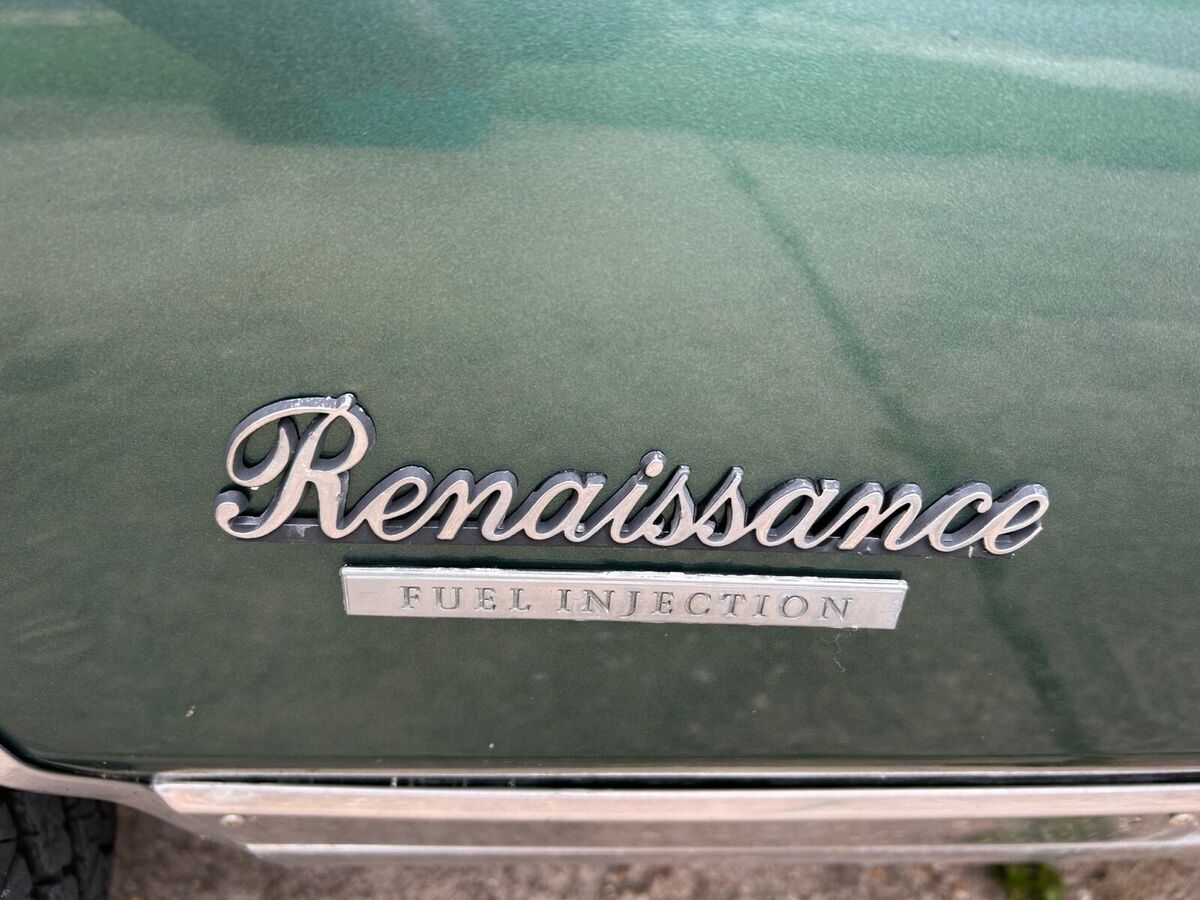 1977 Cadillac DeVille renaissance - photo 7