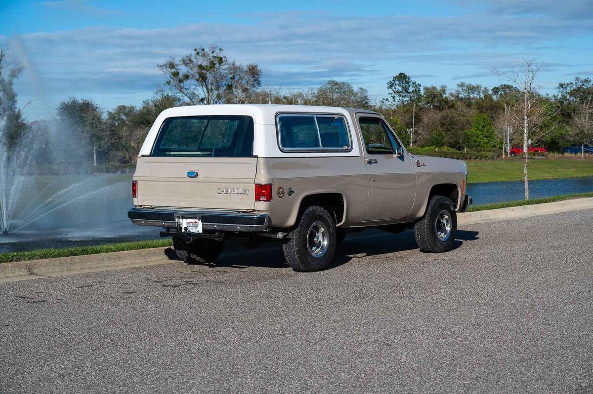 1977 Chevrolet Blazer LS Engine - photo 6