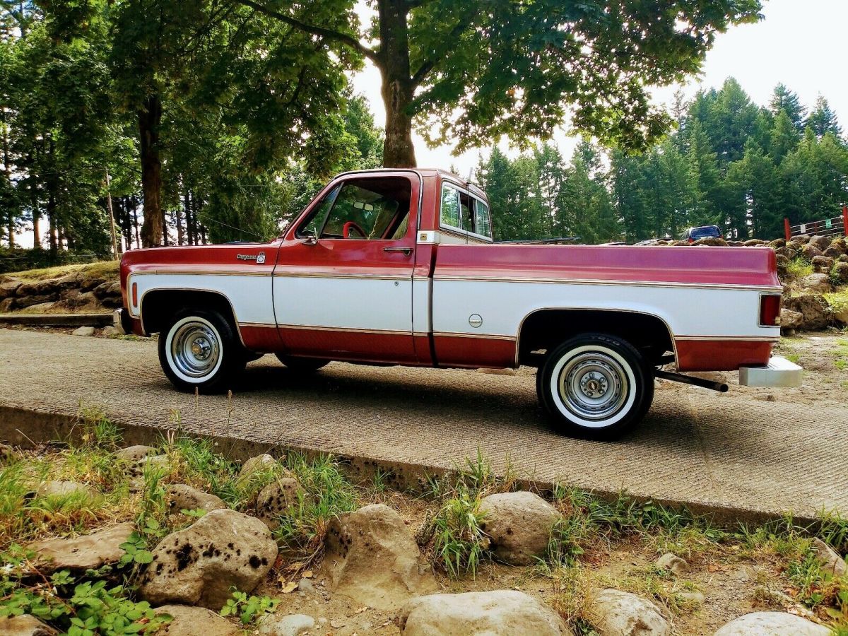1977 Chevrolet C-10 Cheyenne - photo 3