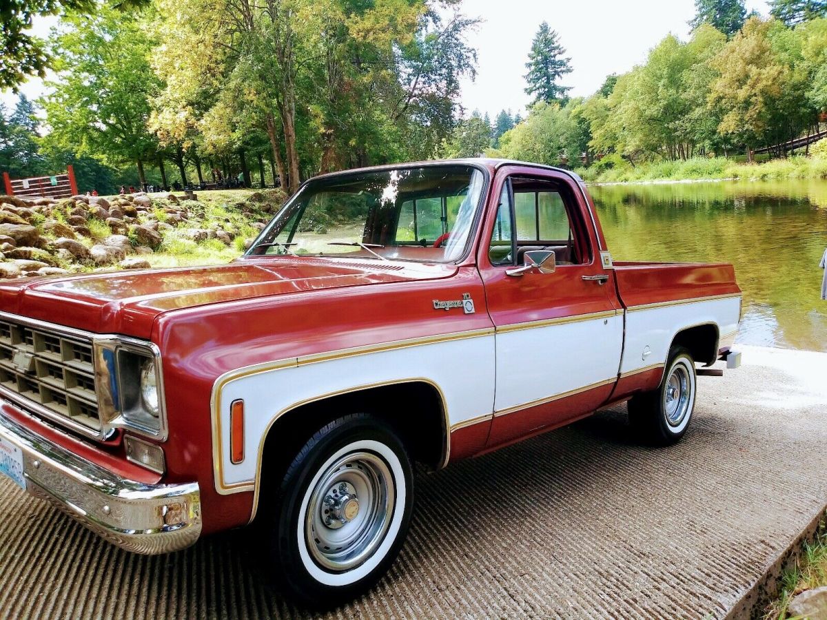 1977 Chevrolet C-10 Cheyenne - photo 6