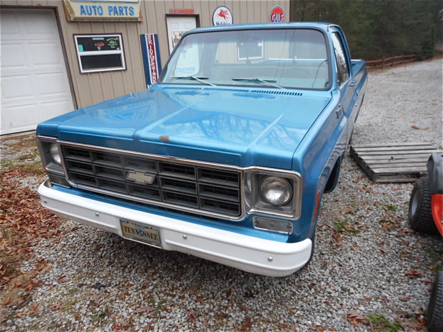 1977 Chevrolet C-10 Custom Deluxe - photo 5