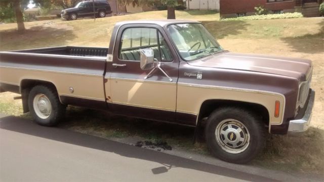 1977 Chevrolet Other Pickups cheyenne 20 - photo 2