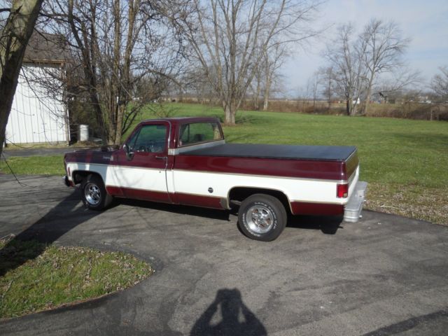 1977 Chevrolet Cheyenne - photo 13