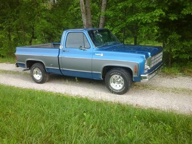 1977 Chevrolet C-10 Cheyenne - photo 2