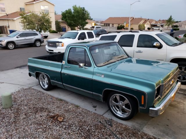 1977 Chevrolet C-10 Cheyenne - photo 11