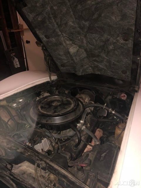 1977 Chevrolet Corvette - photo 4