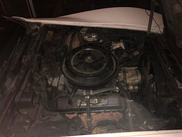 1977 Chevrolet Corvette - photo 5