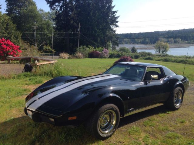 1977 Chevrolet Corvette Black & White Custom 355 Small Block Over $40,000 In 1977 Chevrolet Corvette