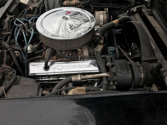 1977 Chevrolet Corvette -BLACK ON BLACK-SIDE PIPES-ONLY 51,211 ORIGINAL MI - photo 12