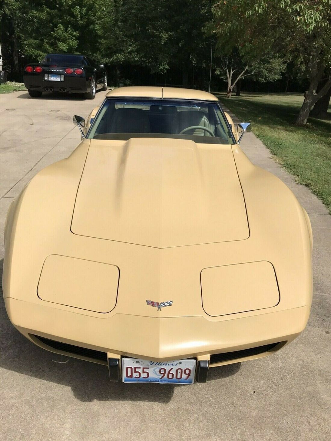 1977 Chevrolet Corvette L48 - photo 3