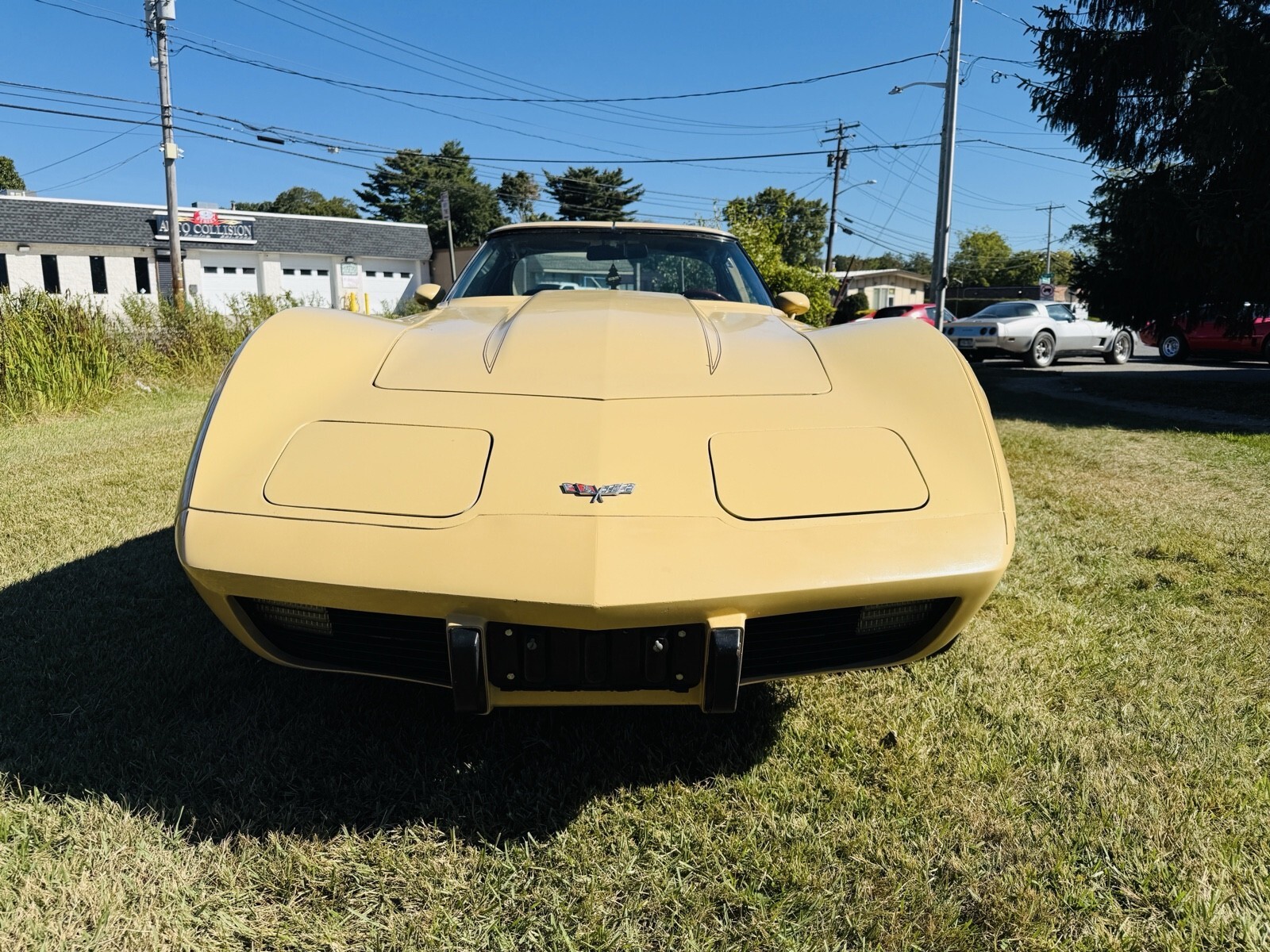 1977 Chevrolet Corvette stingray - photo 10