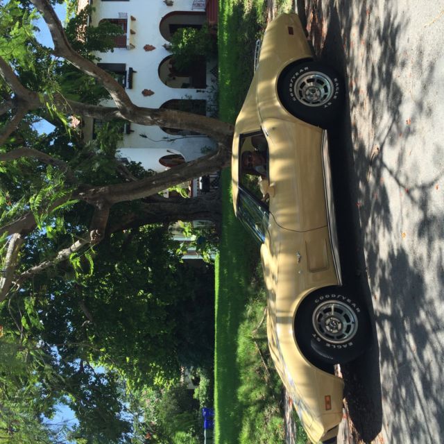 1977 Chevrolet Corvette Coupe - photo 3