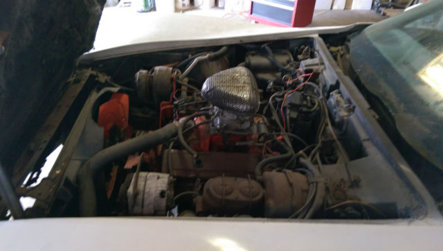 1977 Chevrolet Corvette Base Coupe 2-Door - photo 4